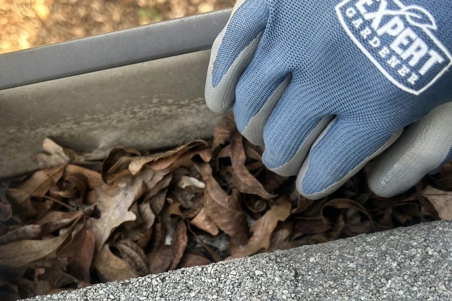 Gutter Cleaning Madeira Beach FL